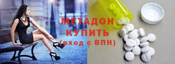 сатива Ельня