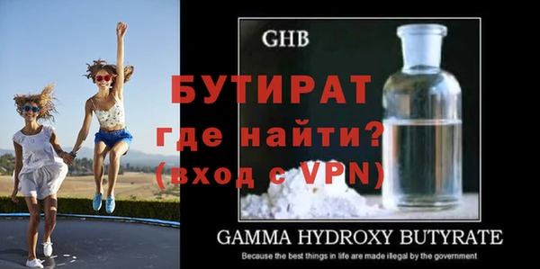 сатива Ельня