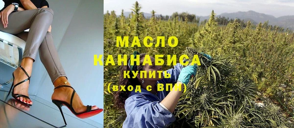сатива Ельня