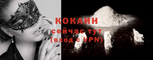сатива Ельня