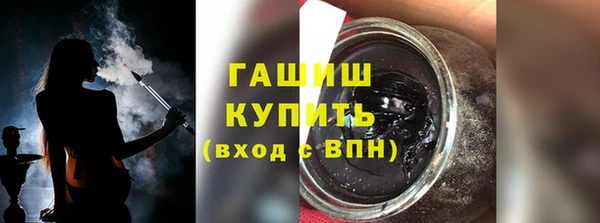 сатива Ельня