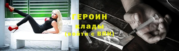 сатива Ельня