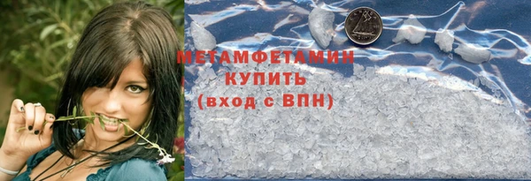 сатива Ельня