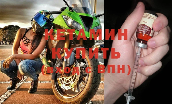 сатива Ельня