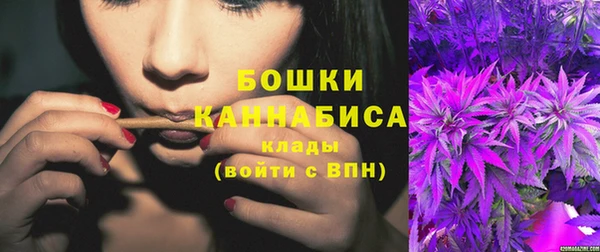 сатива Ельня