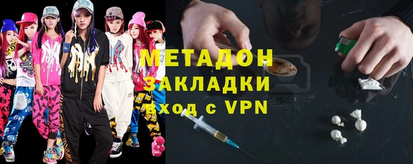 сатива Ельня