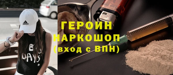 сатива Ельня