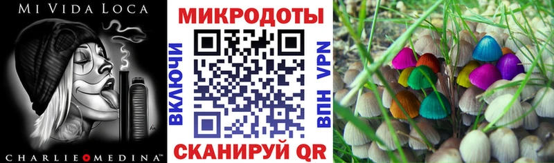 Галлюциногенные грибы мицелий Майский