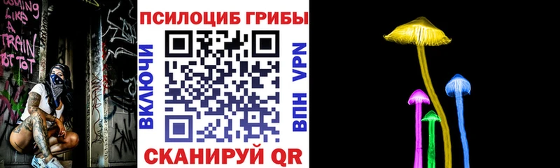 Купить где  Майский  Галлюциногенные грибы прущие грибы 